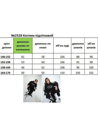 Теплий спортивний костюм на флісі хлопчику Nositi (361895893)