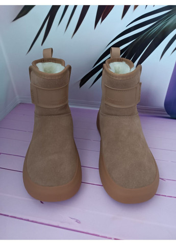 Уггі жіночі замшеві No Brand (370563135)