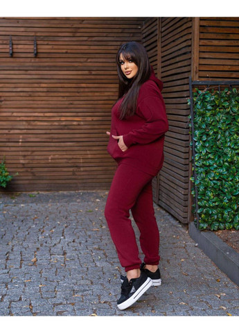 Женский спортивный костюм на флисе Fashion (354203155)