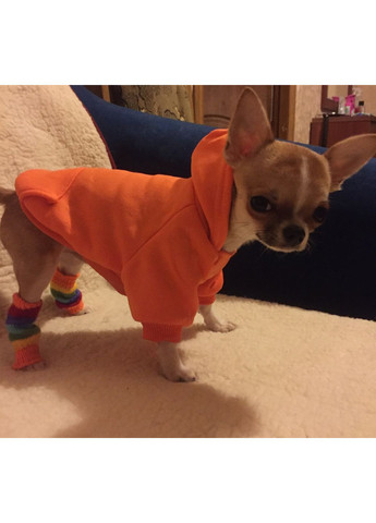 Худі для собак і кішок з капюшоном No Brand (362136087)