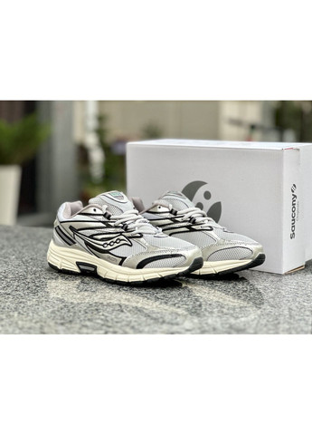 КРОССОВКИ ЖЕНСКИЕ SAUCONY COHESION 2K SILVER САУКОНИ No Brand комбинированные демисезоны (368854845)