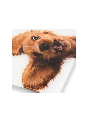 Весы напольные ZBS1010 Zelmer (347582513)