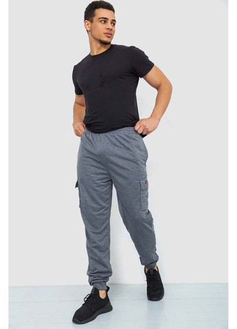 Серые спортивные демисезонные брюки Ager