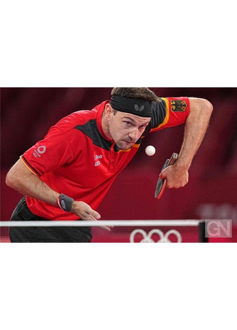 Ракетка для настольного тенниса Timo Boll Comfort FL (6110170005) Butterfly (361443719)