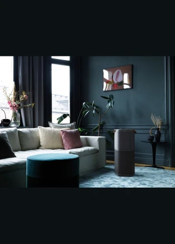 Очисник повітря PA91604DG чорний Electrolux (316602663)