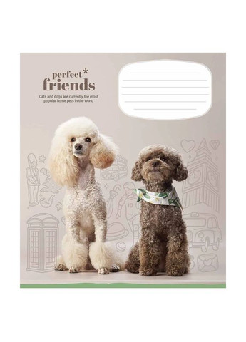 Зошит учнівський Perfect friends 012-3250C 12 арк. (482000647045603250)(SC) shop (482000647045603250) Школярик (337404353)