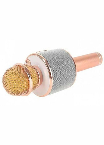 Ручний мікрофон WS-858 Bluetooth USB для дітей золото-рожевий (2046699670) No Brand (328261731)