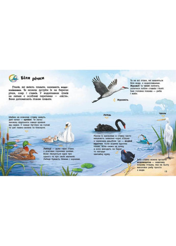 Энциклопедия дошкольника Птицы 614032 для самых маленьких Ranok Creative (365250465)