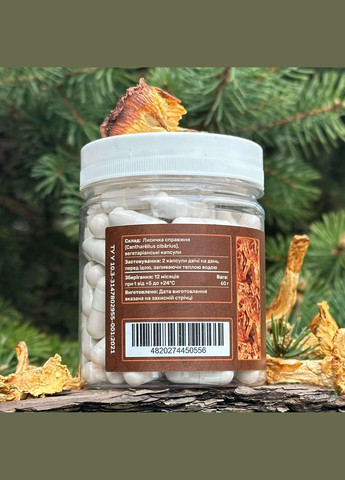 Лисичка справжня, капсули 120 шт по 0.5 г Лісовик (334292906)