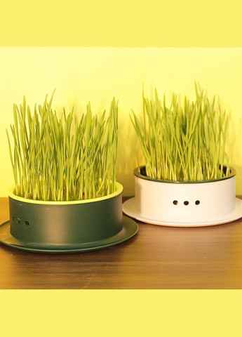 Лоток для гідропонного вирощування мікрозелені та розсади круглий білий з жовтою вставкою (NR0168_2) No Brand (303898386)