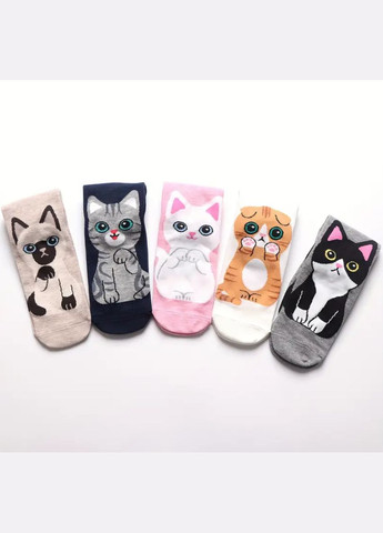 Комбинированные набор цветних носков с котиками 5 пар, с антибактериальной защитой от запаха. 36-41 размер. (315729601)