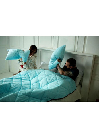 Одеяло Valentino №646 Деми с эвкалиптом 200х220 (2200000857460) Mirson (315027365)