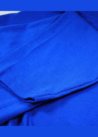 Футболка з довгим рукавом чоловіча Valueweight long sleeve Яскраво (061038051L) Fruit of the Loom синій спортивні, повсякденні, кежуали бавовна