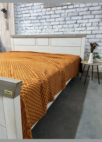 Плед с ворсом гипоаллергенный плюшевый 180х215 см (П4Кmur-flis-pled-001-02) No Brand (308754793)