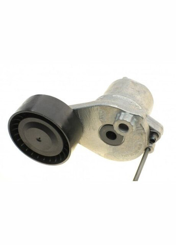 Комплект ременя генератора 529 0530 10 Ina (360494374)