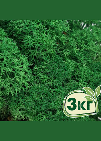 Стабілізований мох ягель Зелений трав'яний темний 3 кг Nordic moss (276401088)