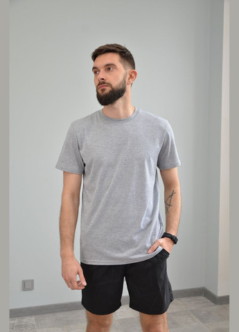 Сіра чоловіча футболка, сіра, l (розміри:, 50, 52, 54) No Brand