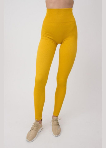 Легінси жіночі безшовні спортивні в рубчик Giulia LEGGINGS RIB (301384709)