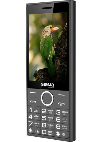 Мобільний телефон Black Sigma mobile X-style 353 TREND (362213430)