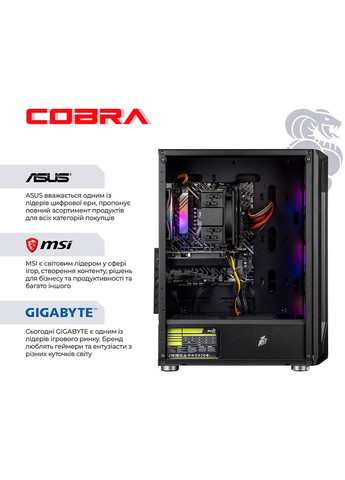 Компьютер Advanced (A56.32.S5.57.22699) Cobra (368901699)