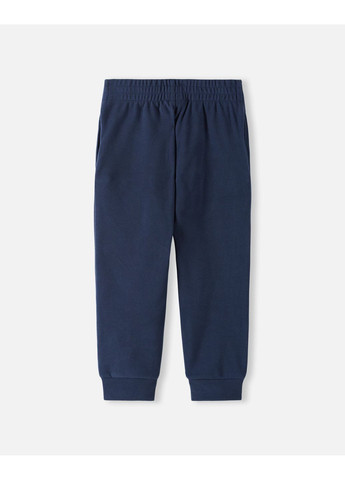 Темно-синие демисезонные брюки Reima