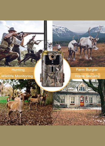 GSM фотоловушка HC-900M (839) Suntek (341324691)