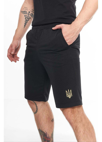 Шорты Intruder (304771164)