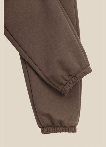 Комбинированные спортивные демисезонные брюки LAWA