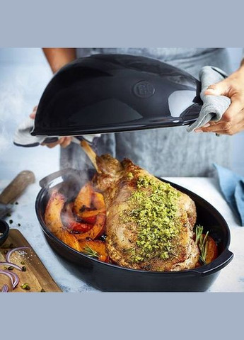 Гусятниця 41,5x27,5 см 798444 Emile Henry (316621826)