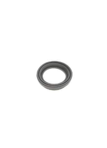 Ремкомплект суппорта (переднего) Fiat Ducato/Citroen Jumper 02- (d=46/52mm) (Brembo) 246009 RU63 No Brand (339644277)