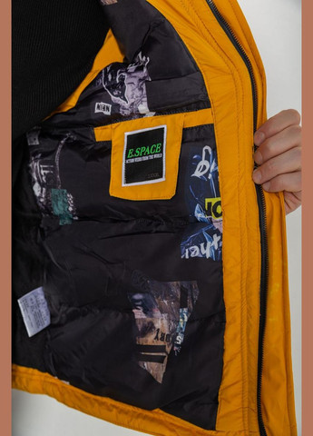 Жилетка мужская демисезонная Ager 244R99006 (313862853)