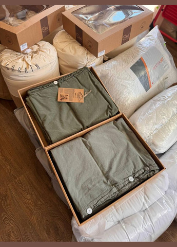 Постільна білизна Антиалергенна Євро 200х220 наволочка 70х70 2шт Оливковий (П4К-al-sikel-var-014-01) No Brand (348095021)