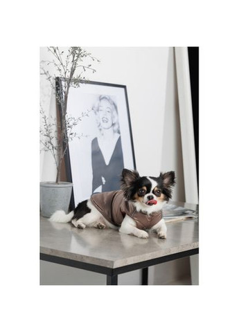 Жилет Hardy для собак розмір (*) Pet Fashion (324835482)