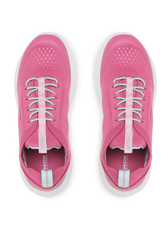 Розовые кроссовки Geox