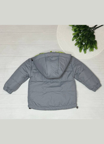 Серая демисезонная куртка choice хлоп. 23063 Модняшки