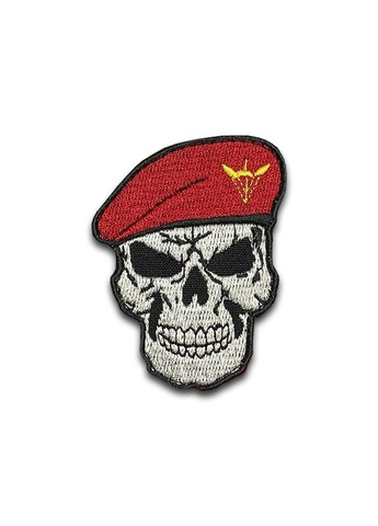 Шеврон череп ДШВ (форма контурная. На липучке) Размер 8x6см No Brand (369924546)