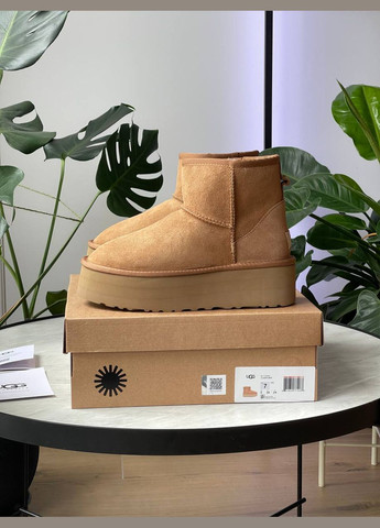 Уггі Vakko UGG Mini Platform Chestnut (302224031)