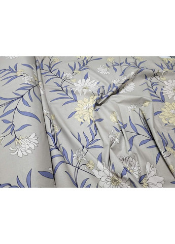 Постельное белье Бискотти, бязь PREMIUM Двуспальный размер, наволочки 50/70 No Brand (364213419)