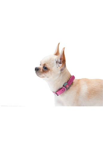 Ошейник для собак кожаный WAUDOG Classic Ширина 20 мм. Длина 30-39 см, Розовый Collar (362136404)