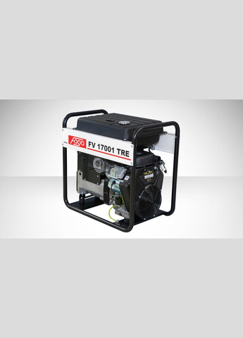 Генераторна установка FV17001TRE 1ф-14,9кВт двиг.B&S, ел.старт Fogo (342967958)