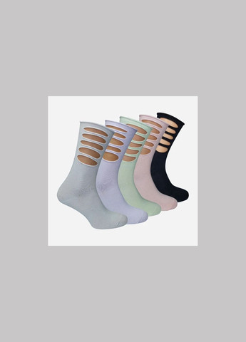 Набір шкарпеток жіночих коротких Лана Delicate silk 10 пар Білий No Brand (285793090)