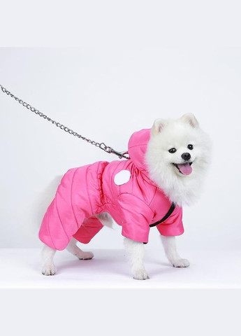 Комбинезон для собак и котов Rose XL малиновый A: 35 см B: 41 см C: 34 см 6961 Ecotoys (275394979)