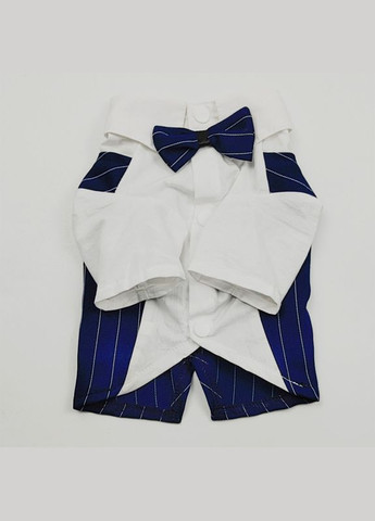 Костюм для котів Pet Style "Джентельмен" Синій XL No Brand - (323235788)