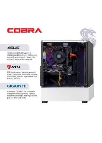 Компьютер Advanced (A45.16.S10.56.22574W) Cobra (368901315)