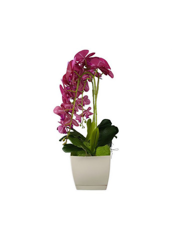 Штучна рожева орхідея в білому кашпо 60 см 022 No Brand (272150299)