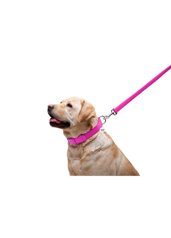 Поводок для собак кожаный Glamour, Ш 25 мм, Дл 122 см розовый WAUDOG (364750669)