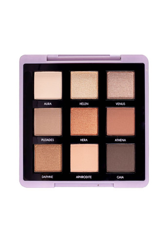 Палетка теней для век Maestro Academy Eyeshadow Bar 9 оттенков №002 TopFace (300676823)