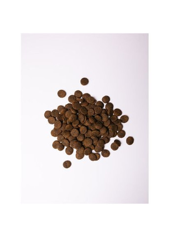 Сухий корм Large для собак великих порід, зі свіжим ягням та індичкою, 12 кг Savory (362578401)