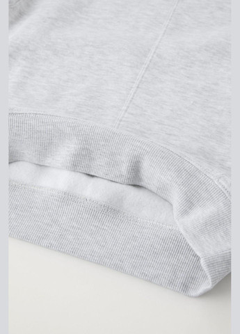 Сірий комплект дитячий на флісі (світшот+штани) 0257/602 сірийй Zara