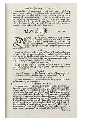 Книга Leonhart Fuchs. The New Herbal (9783836587662) Taschen (364654043)